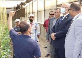 رئيس جامعة بنها يتفقد الوحدات الإنتاجية بكليتي الزراعة والطب البيطري