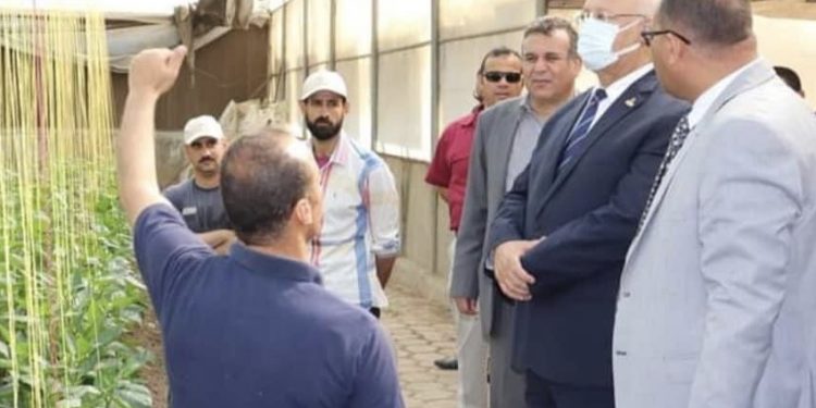 رئيس جامعة بنها يتفقد الوحدات الإنتاجية بكليتي الزراعة والطب البيطري