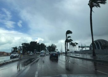 «التعليم» تصدر كتابًا دوريًا بشأن الاستعداد للشتاء بالمنشأت والمدارس