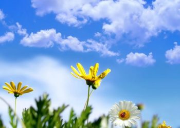 الارصاد الجوية: طقس الغد لطيف نهارا بارد ليلا والعظمى بالقاهرة 24