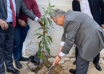 إطلاق حملة ” هنجملها” لزراعة الأشجار المثمرة بالجامعة المصرية الصينية