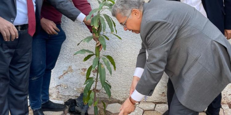 إطلاق حملة ” هنجملها” لزراعة الأشجار المثمرة بالجامعة المصرية الصينية