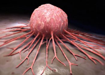 باحثان مصريان يكشفان وسيلة جديدة للتنبؤ باستجابة أورام السرطان للعلاج عن طريق عينة بالدم