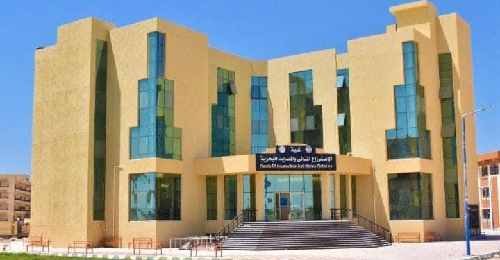 تنفيذ 37 مشروعًا للتعليم العالي بسيناء بإجمالي تكلفة بلغت 13 مليار جنيه