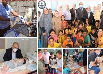 التعليم العالي: برامج تنفيذية طموحة لجامعات إقليم سيناء ومدن القناة في خدمة المجتمع المحلي