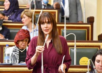 برلمانية عن ضعف الانترنت:  لم يعد رفاهية وجزء رئيسي من حياة الطلاب