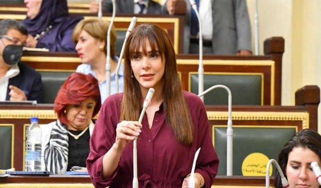 برلمانية عن ضعف الانترنت:  لم يعد رفاهية وجزء رئيسي من حياة الطلاب