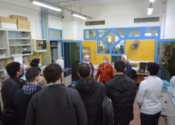 التعليم العالي: مدارس للتدريب العملي لطلاب الجامعات بمدينة الأبحاث العلمية