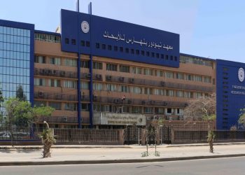 بتكلفة 176 مليون جنيه تطوير مستشفى معهد تيودر بلهارس