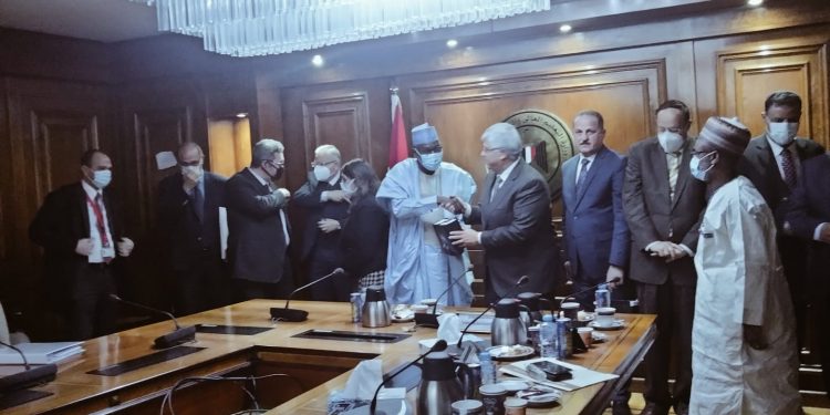 التعليم العالي: مقترح مصري لتوحيد الجهود بين الدول الإفريقية لتلبية احتياجات التنمية في القارة