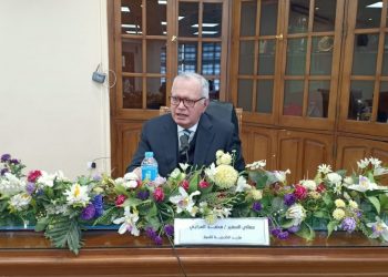 وزير الخارجية: مصر لديها أسس ومبادئ ثابتة في سياستها الدولية