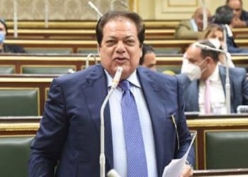 أبو العينين: الأزمة العالمية تهدد دول العالم اقتصاديا واجتماعيا.. والرئيس السيسي أبدع فى مواجهتها