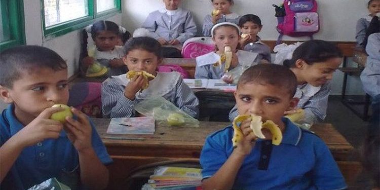 أسم مستخدم وكلمة سر لكل مدرسة.. ضوابط جديدة لتوزيع الوجبات المدرسية