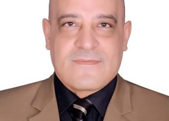 الدكتور أيمن محمود عثمان، رئيس جامعة أسوان