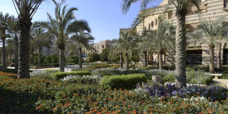 الجامعة الأمريكية بالقاهرة تصدر تقريرها الثاني عن الاستدامة