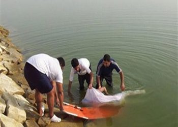 جثة متعفنة في مصرف قرية «بحر البقر»