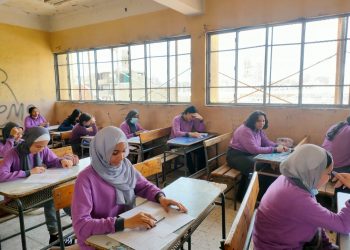 أولياء أمور مصر: تباين في الآراء حول تاريخ الأول الثانوي وسهولة اللغة الثانية