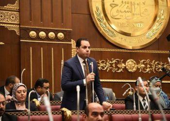 نائب التنسيقية: نعاني من أزمة خروج الشباب المبتكرين بسبب سياسات الماضى