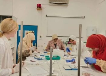 زيارة علمية لطلاب جامعة أسوان إلى نظيرتها دوبروفنيك بدولة كرواتيا