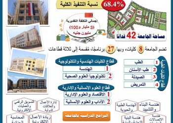 إنشاء جامعة المنصورة الأهلية بتكلفة 3 مليار و100 مليون جنيه
