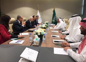 وزير التعليم يبحث مع نظيره السعودي كيفية استفادة المملكة من التجربة المصرية