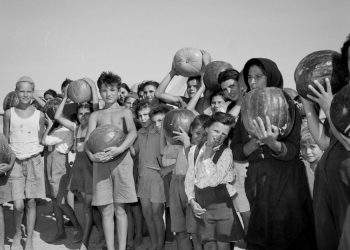 الجامعة الأمريكية بالقاهرة تنظم فعالية عن اللاجئين الأوروبيين لمصر