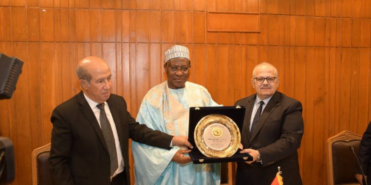 احتفالية «يوم في حب مصر» بجامعة القاهرة تزامنًا مع يوم أفريقيا