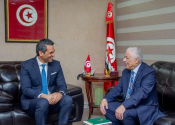 شوقي: وضع برامج تنفيذية واضحة لتفعيل كل اتفاقيات الشراكة بين مصر متونس