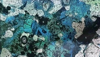 مجلد جديد عن علوم المواد والتقنيات في مصر القديمة.