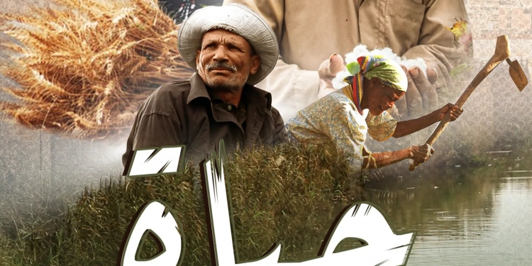 "حياة".... مشروع تخرج بإعلام الأزهر