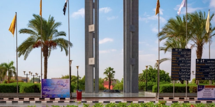 دورات الدراسات الحرة في تربية فنية جامعة حلوان.. إليك التفاصيل