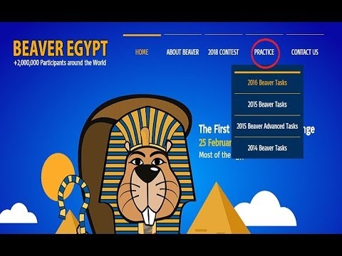 مسابقة القندس المصري 2022.. الشروط وطريقة التقديم