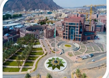 منحة جامعة طيبة للحصول علي البكالوريوس.. التخصصات المتاحة والشروط