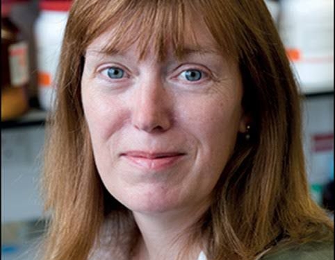 “الابتكار في الرعاية الصحية” تستضيف مؤتمرًا لمطوري لقاحات كورونا أكتوبر المقبل