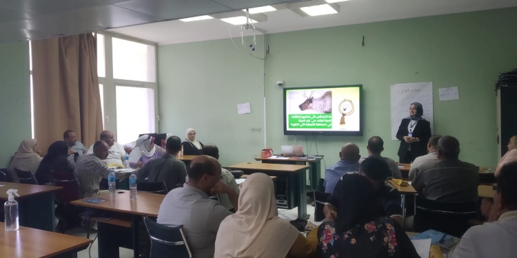 "التعليم" تنظم تدريبات لمعلمي وموجهي الصف الخامس الابتدائى