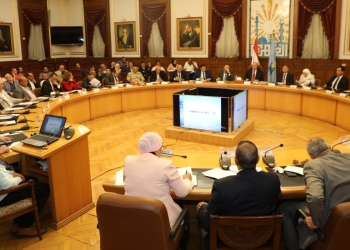 ﻿محافظ القاهرة : 340 مشروع أخضر ضمن مبادرة المشاريع الذكية