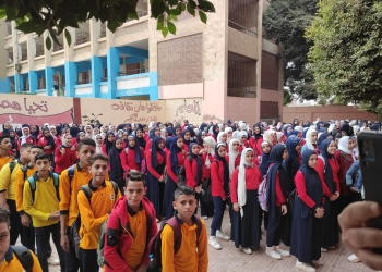 برلماني: زيادة المصابين بالفيوس المخلوي بالمدارس والوزارة لم تتحرك بشكل كافي