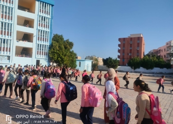 لضمان جودة التغذية المدرسية.. تفاصيل المنظومة الجديدة لمراحل تصنيع ونقل وتوزيع الوجبات