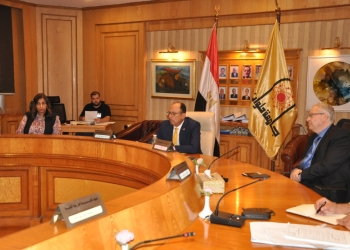 التحول الرقمي في جامعة حلوان.. خطوات وتحديات