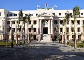 عميد كلية الزراعة بجامعة بنها يكشف تفاصيل إنتاج سلالة الدجاج الجديدة| خاص