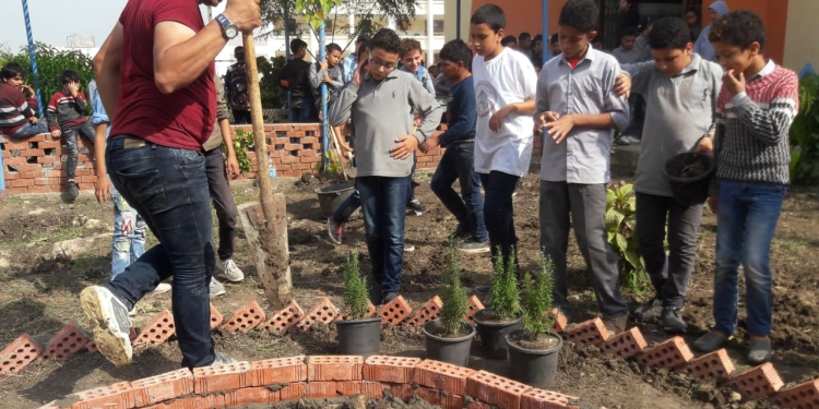 التعليم: تجهيز أسطح 100 مدرسة بزراعات بسيطة وفصل مفتوح فوق المدارس