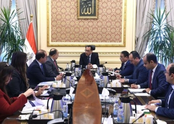 اعتزام الحكومة استقطاع جزء من تحويلات المصريين في الخارج.. أعرف الحقيقة