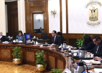 اعتزام الحكومة استقطاع جزء من تحويلات المصريين في الخارج.. أعرف الحقيقة