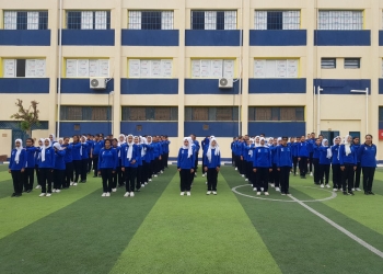 تنسيق بدائل الثانوية العامة التي تؤهل لسوق العمل