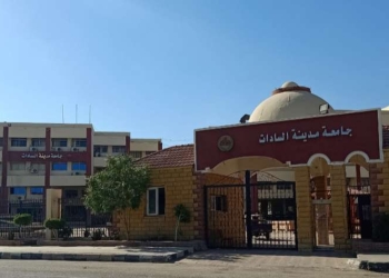 جامعة مدينة السادات