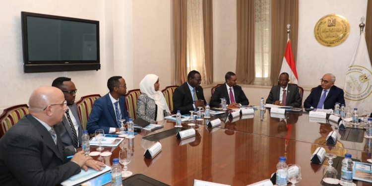 إرسال خبراء مصريين لتدريب المعلمين الصوماليين وتأهيلهم تربويًا