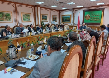 مجلس جامعة المنيا