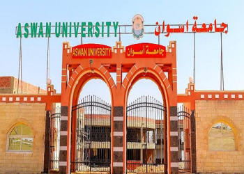 جامعة أسوان