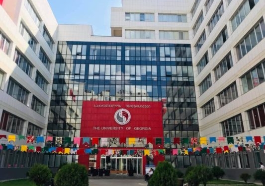 للطلاب المصريين ... فرصة تطوع ممولة بالكامل في جورجيا