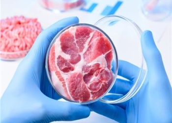 اللحوم المستزرعة